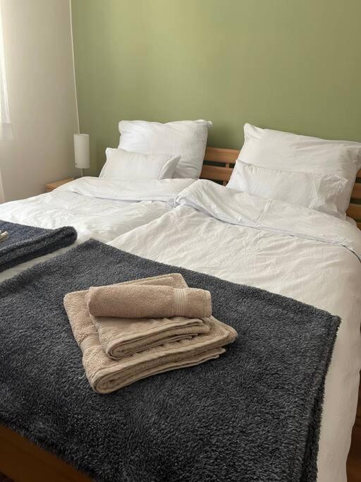 Priestranny 3 Izb. Apartman V Centre S Parkovanim. Banská Bystrica Eksteriør bilde