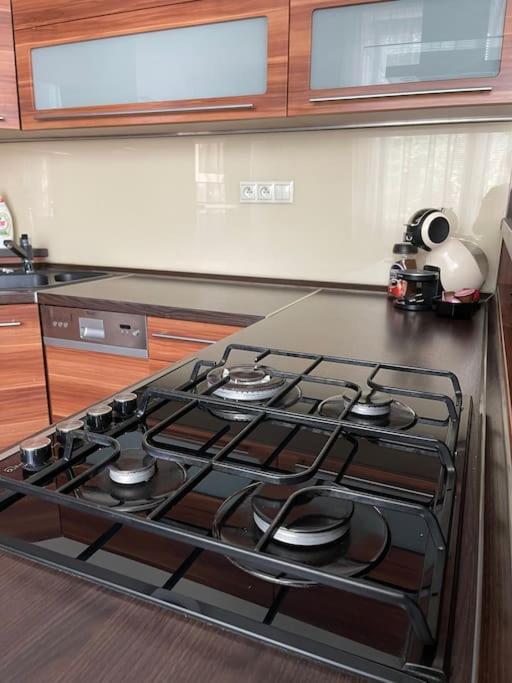 Priestranny 3 Izb. Apartman V Centre S Parkovanim. Banská Bystrica Eksteriør bilde