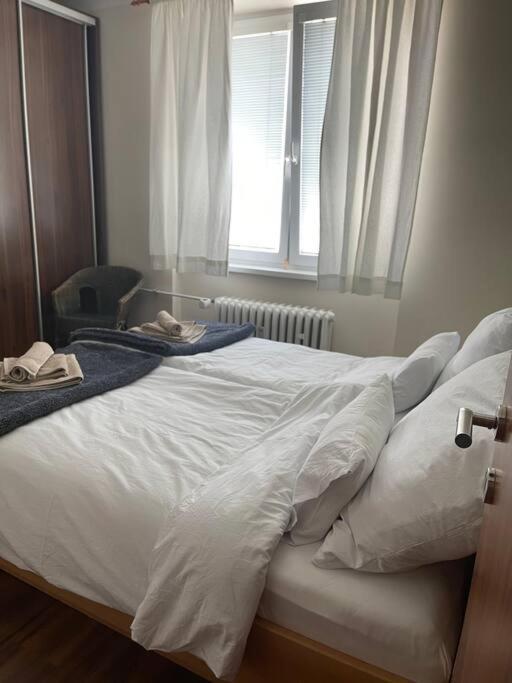 Priestranny 3 Izb. Apartman V Centre S Parkovanim. Banská Bystrica Eksteriør bilde